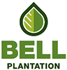 Bell Plantation